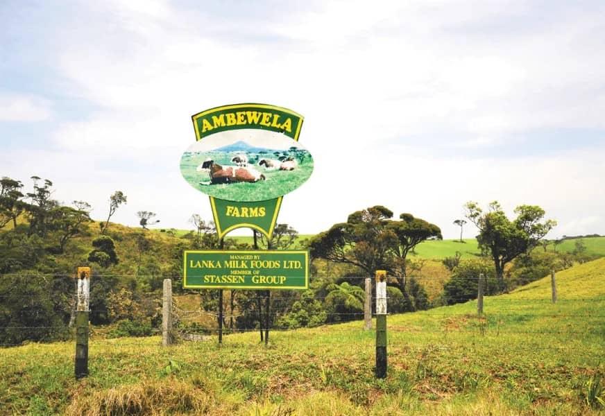 Ambewela Farm