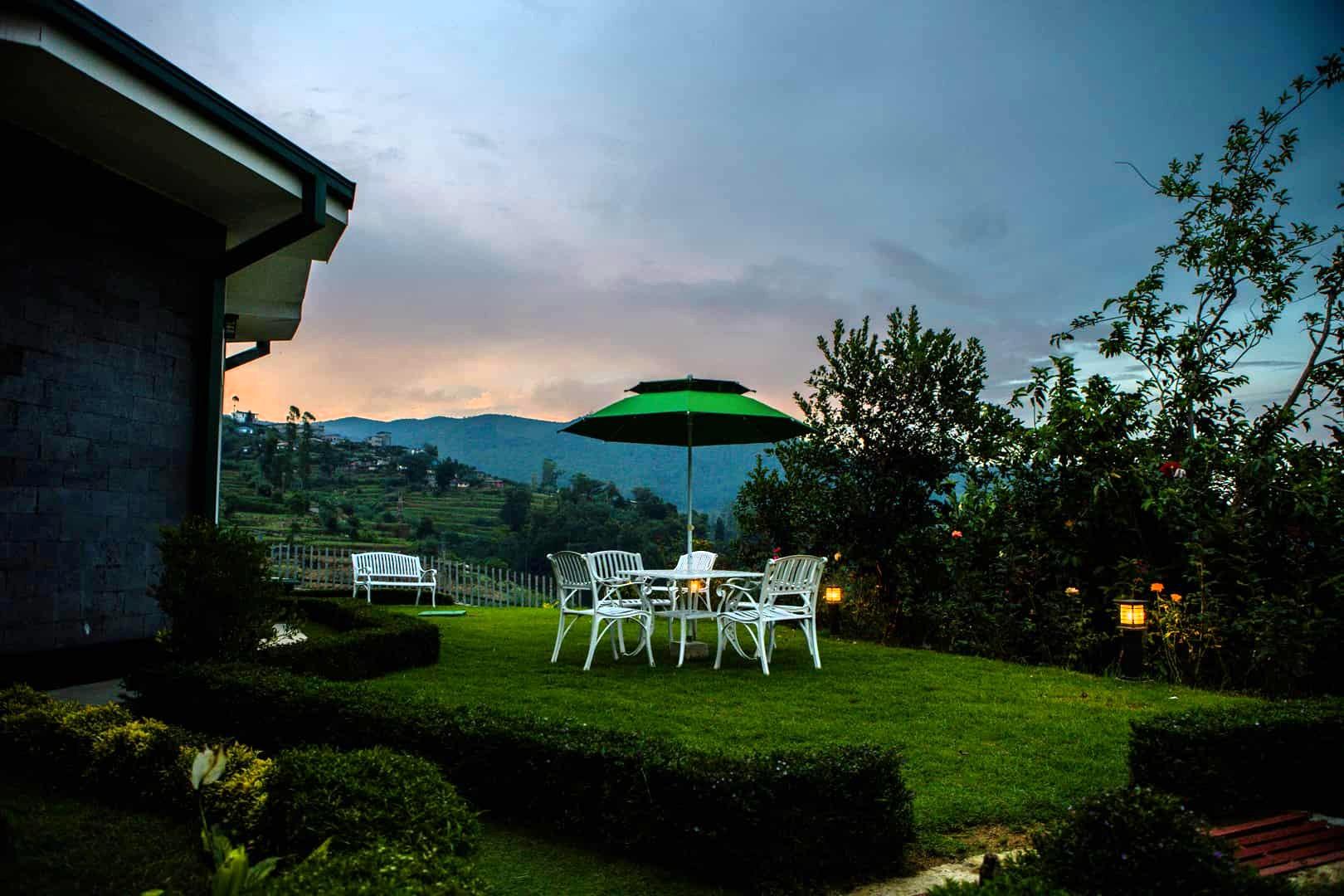 Embracing Nature - Peace, Plant and Pure Calm